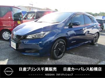 X Vセレクション 40kWh プロパイロット 充電ケーブル付き