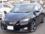 日産 リーフ e+ G 12セグ　BOSE 寒冷地仕様　Pアシスト