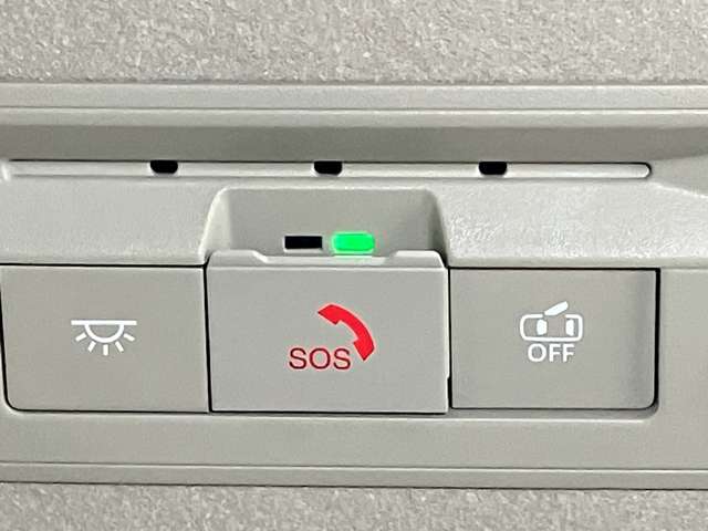 複数画像30