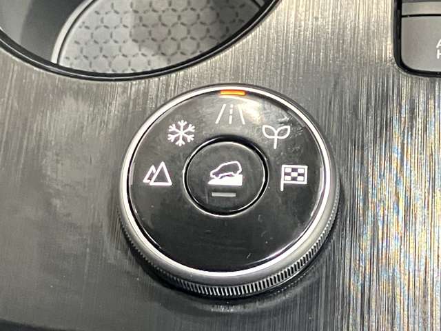 複数画像30