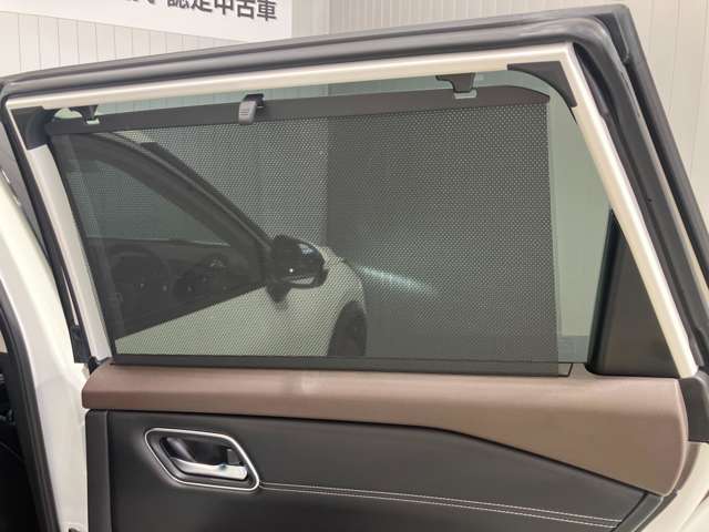 複数画像52