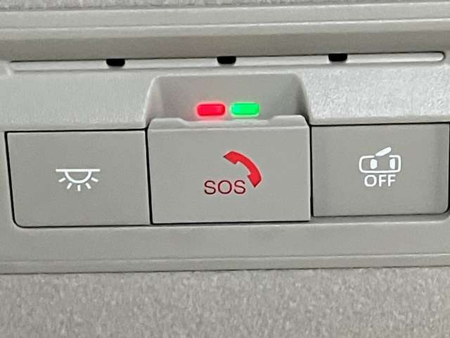 複数画像30
