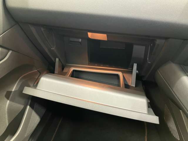 複数画像30
