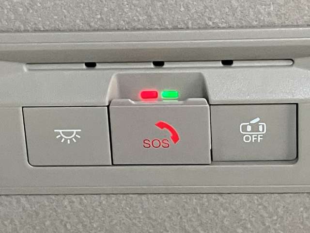 複数画像30
