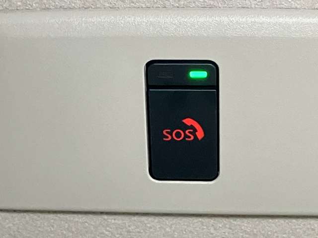 複数画像50
