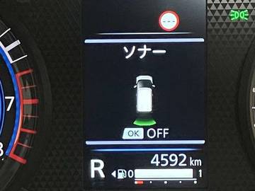 複数画像46