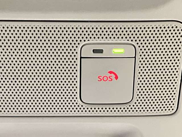 複数画像30