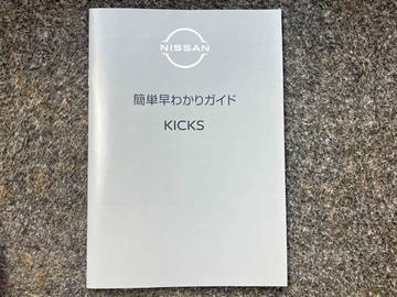 複数画像41