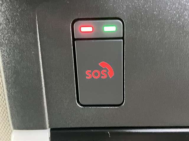複数画像20