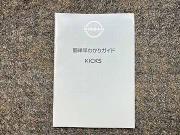 複数画像44