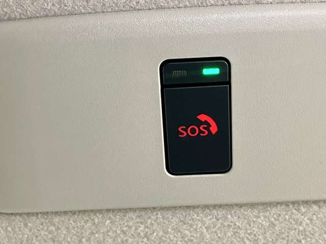 複数画像20