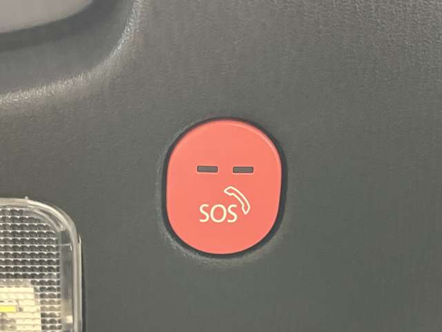 複数画像36