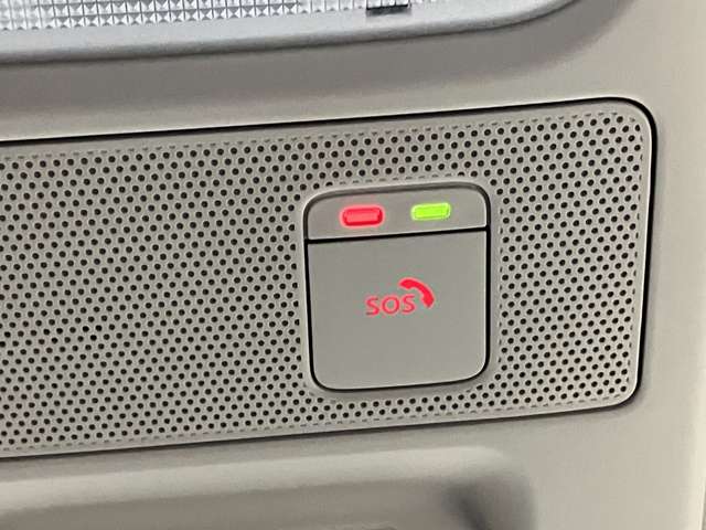 複数画像40