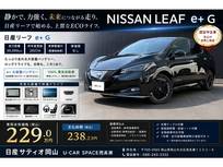日産 リーフ e+ G 禁煙車　プロパイロット　日産コネクトナビ