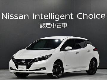 リーフ e+ G 当社社有車
