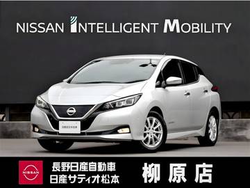 G 寒冷地仕様　プロパイロットパーキング