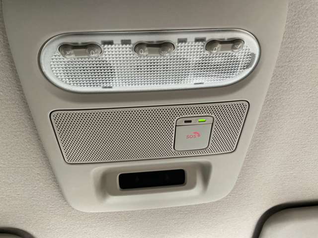 複数画像31
