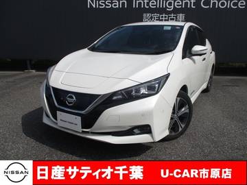 G プロパイロット/ナビ/全方位モニター/踏み