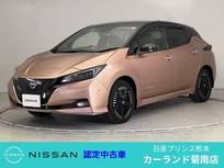 日産 リーフ e+ G ドラレコ ETC プロパイロット