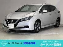 日産 リーフ X 10万台記念車 前後ドラレコ ETC プロパイロット
