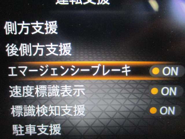 複数画像29