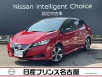 日産 リーフ X Vセレクション プロパイロット　全周囲カメラ　ドラレコ