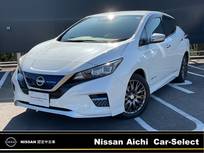 日産 リーフ e+ AUTECH プロパイロット　寒冷地仕様