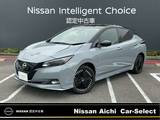 日産 リーフ e+ G 後期モデル　寒冷地仕様