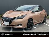 日産 リーフ e+ G NISSANコネクトナビ　アラウンドモニタ-