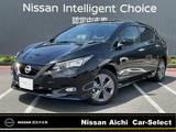 日産 リーフ e+ アーバンクロム NISSANコネクトナビ　プロパイロット