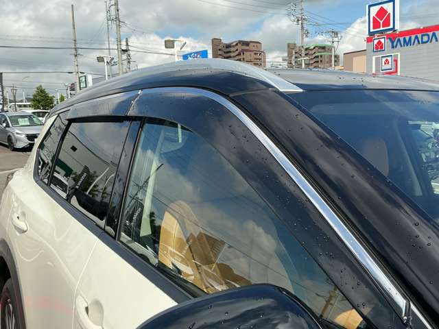 複数画像31