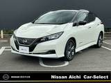 日産 リーフ e+ アーバンクロム /バッテリー容量12セグ・寒冷地仕様・メー