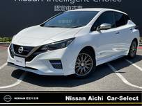 日産 リーフ AUTECH 寒冷地仕様・プロパイロット・メーカーナビ