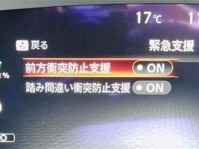 複数画像41