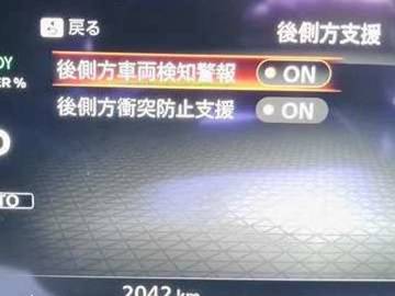 複数画像40