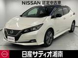 日産 リーフ アーバンクロム ※メーカーラインナビ+地デジ+全周囲カメラ