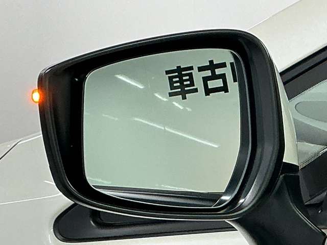 複数画像51
