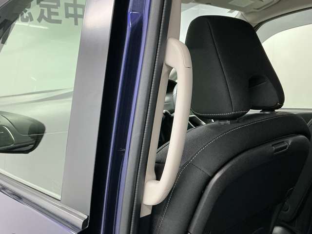 複数画像30