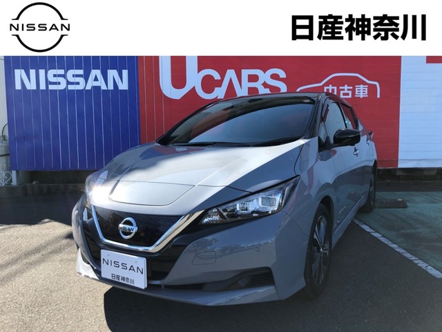 日産リーフ ZE1 平穏 純正ディーラーオプション品ラゲッジアンダー 