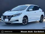 日産 リーフ e+ X プロパイロット寒冷地仕様コネクトナビ