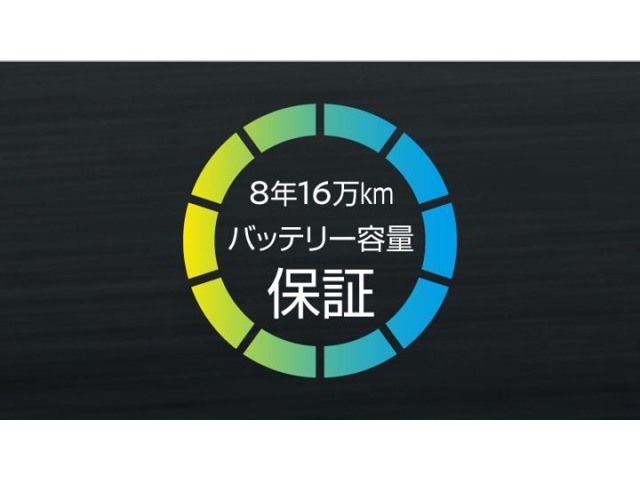 複数画像51