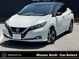日産 リーフ X 10万台記念車 NissanConnectナビ・プロパイロット・バッ
