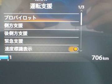 複数画像31