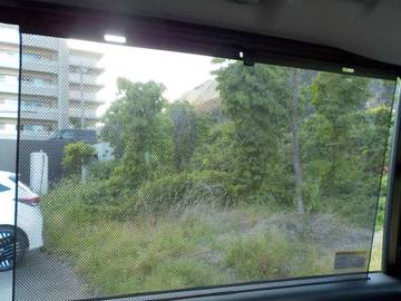 複数画像54