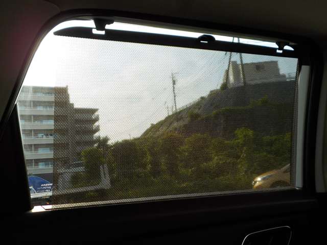複数画像41