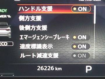 複数画像30