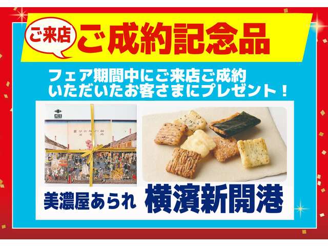 複数画像48