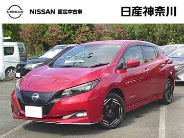 e+ X 1オーナー・プロパイロット・前席シートH