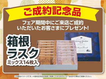 複数画像54