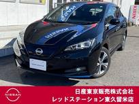 日産 リーフ e+ G プロパイロット/アラウンドビューモニター/